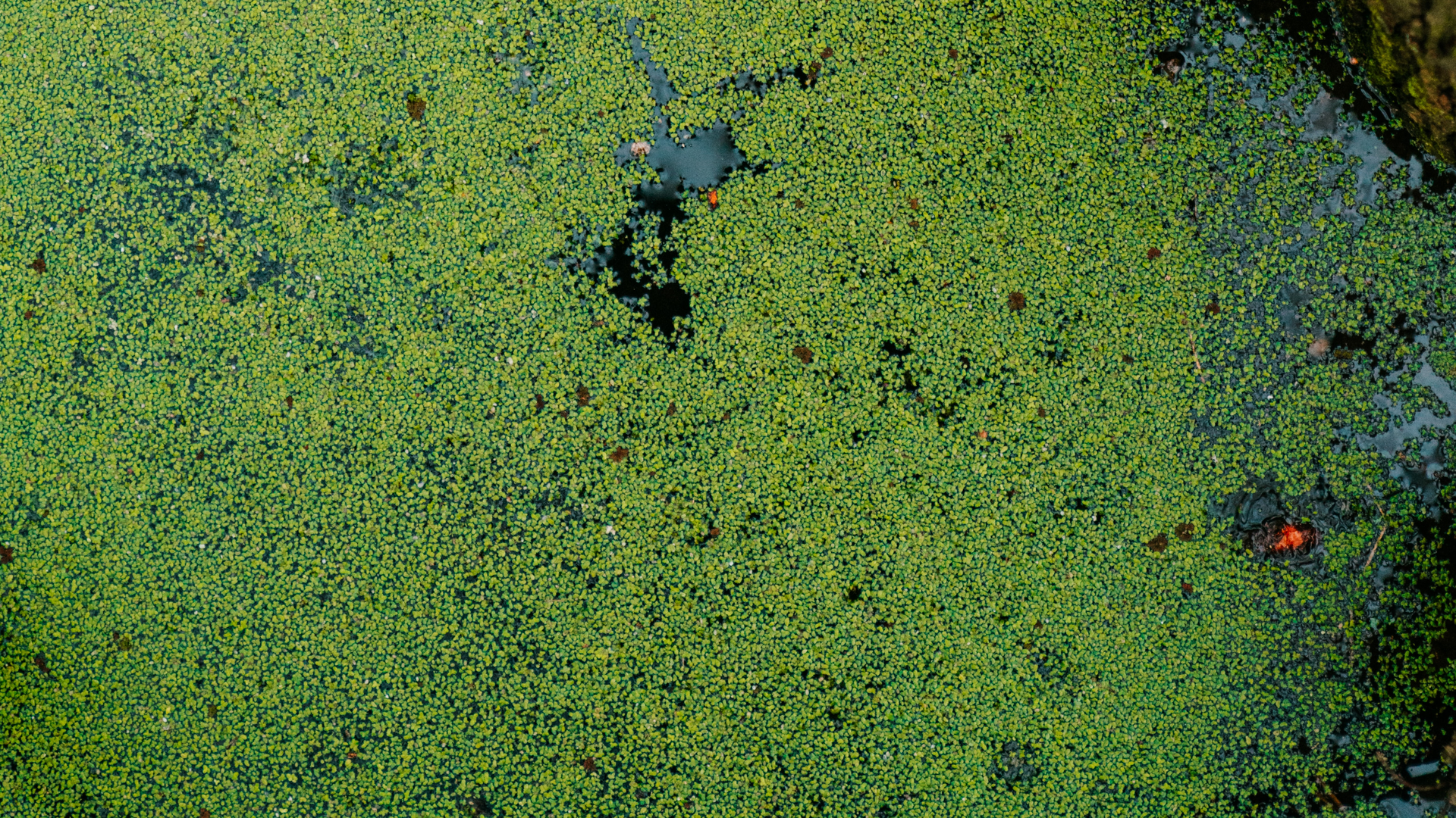 Jordan Whitfield Vph R T4 Bwgw Unsplash 6092ac53bc2e7 611a9052b10fb