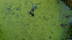 Jordan Whitfield Vph R T4 Bwgw Unsplash 6092ac53bc2e7 611a9052b10fb Jordan Whitfield Vph R T4 Bwgw Unsplash 6092ac53bc2e7 611a9052b10fb