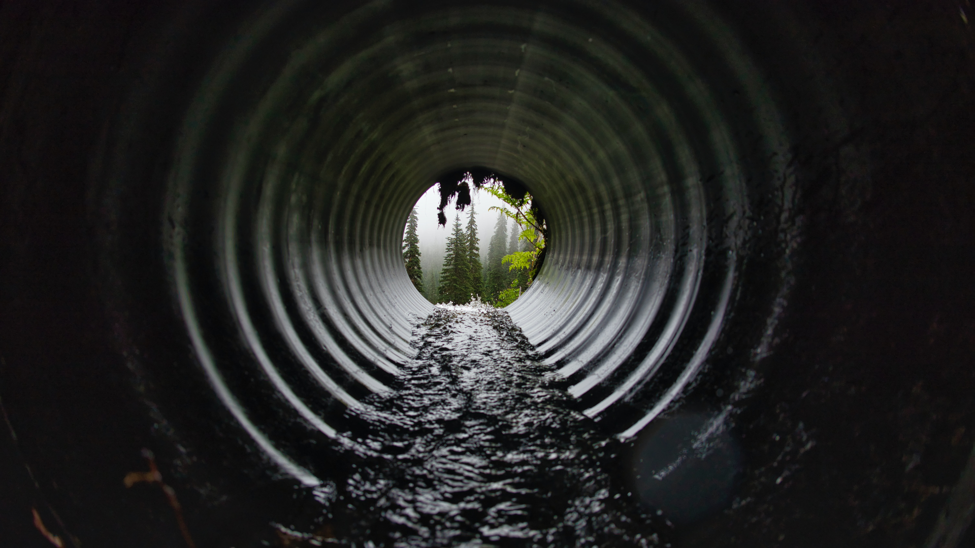 Marco Bicca 1 Xwr9o I9 Afa Unsplash 611bc08ac4c6a