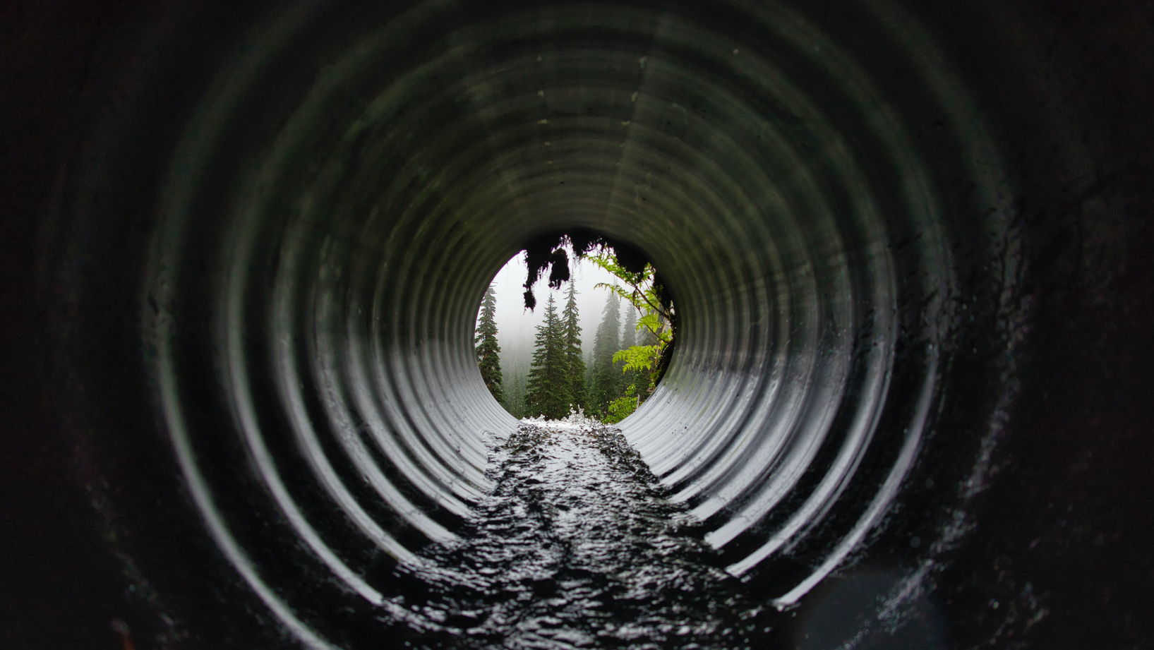 Marco Bicca 1 Xwr9o I9 Afa Unsplash 1 6123aab11c578