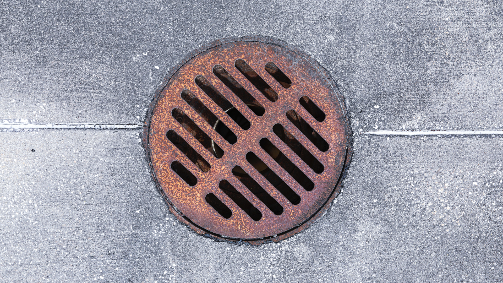 Mick Haupt K0y4 By 8 Fn E Unsplash 2 610d95b271ee8