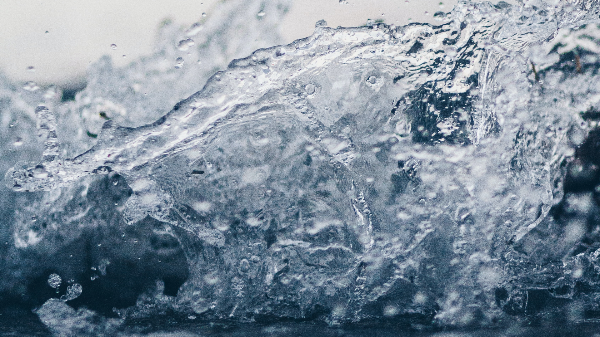 Samara Doole Pea Tni Zs U Qs Unsplash 6123dadc5aa40