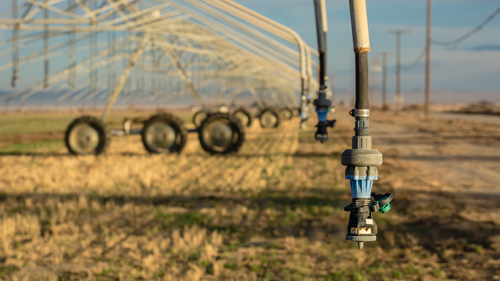 A center-pivot irrigation system in Southern California. According to NOAA (National Oceanic and Atmospheric Administration), as of mid-July, 2021, 89% of the U.S. West was in drought and 25% was in exceptional drought conditions.