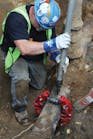 Rotary Pipe Cutters cut pipe fast, with minimal digging.
