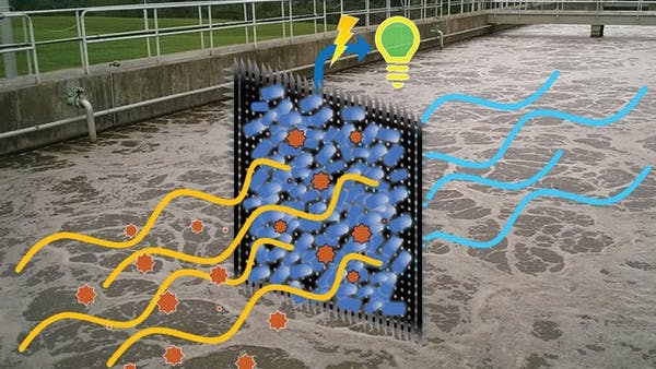 A dual-function electrode in a microbial fuel cell combines two previously separate functions to recover valuable resources from wastewater.