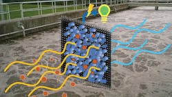 A dual-function electrode in a microbial fuel cell combines two previously separate functions to recover valuable resources from wastewater. A dual-function electrode in a microbial fuel cell combines two previously separate functions to recover valuable resources from wastewater.