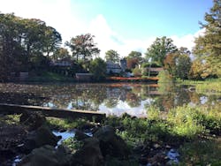 Jack’s Pond in Great Kills, after completion. Jack’s Pond in Great Kills, after completion.