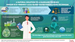 Using a new strain of algae, scientists have developed an eco-friendly way to purify wastewater. Using a new strain of algae, scientists have developed an eco-friendly way to purify wastewater.