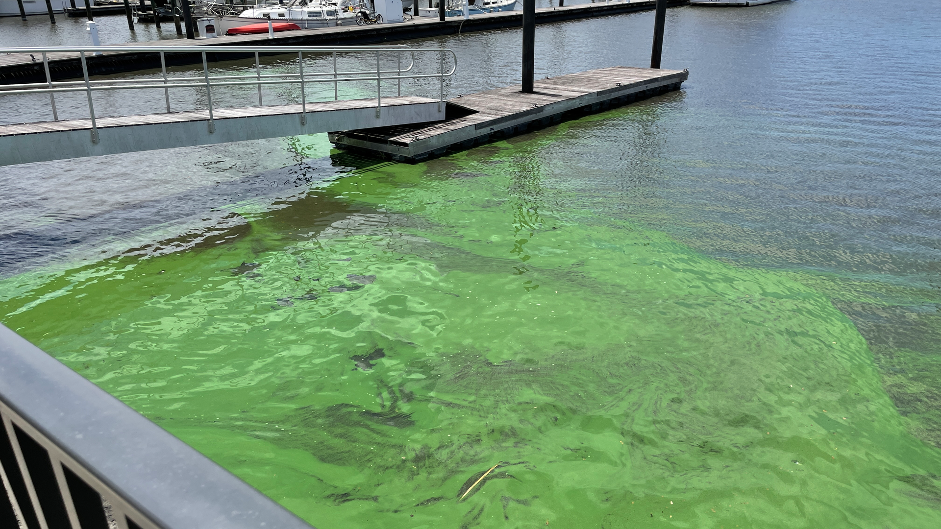 Moleaer And Fgcu 2 613a153e3839a