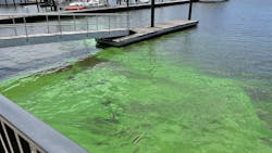 Moleaer And Fgcu 2 613a153e3839a Moleaer And Fgcu 2 613a153e3839a