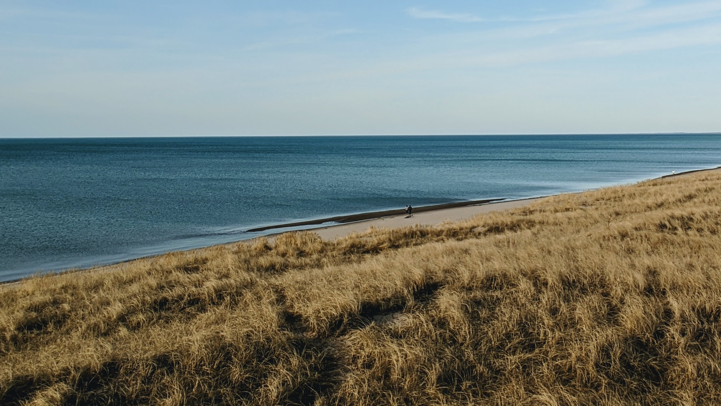Lake Michigan shoreline near Indiana Dunes National Park.