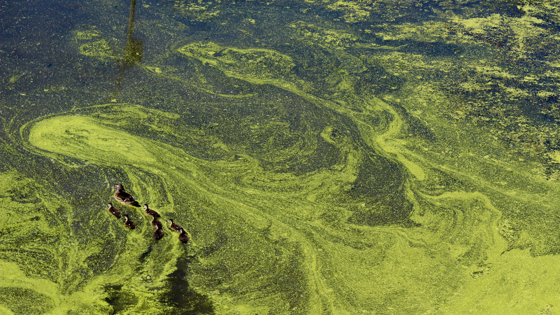 Liz Harrell Yvn5 Ub Ram Am Unsplash 6144d27839870