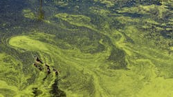 Liz Harrell Yvn5 Ub Ram Am Unsplash 6144d27839870 Liz Harrell Yvn5 Ub Ram Am Unsplash 6144d27839870