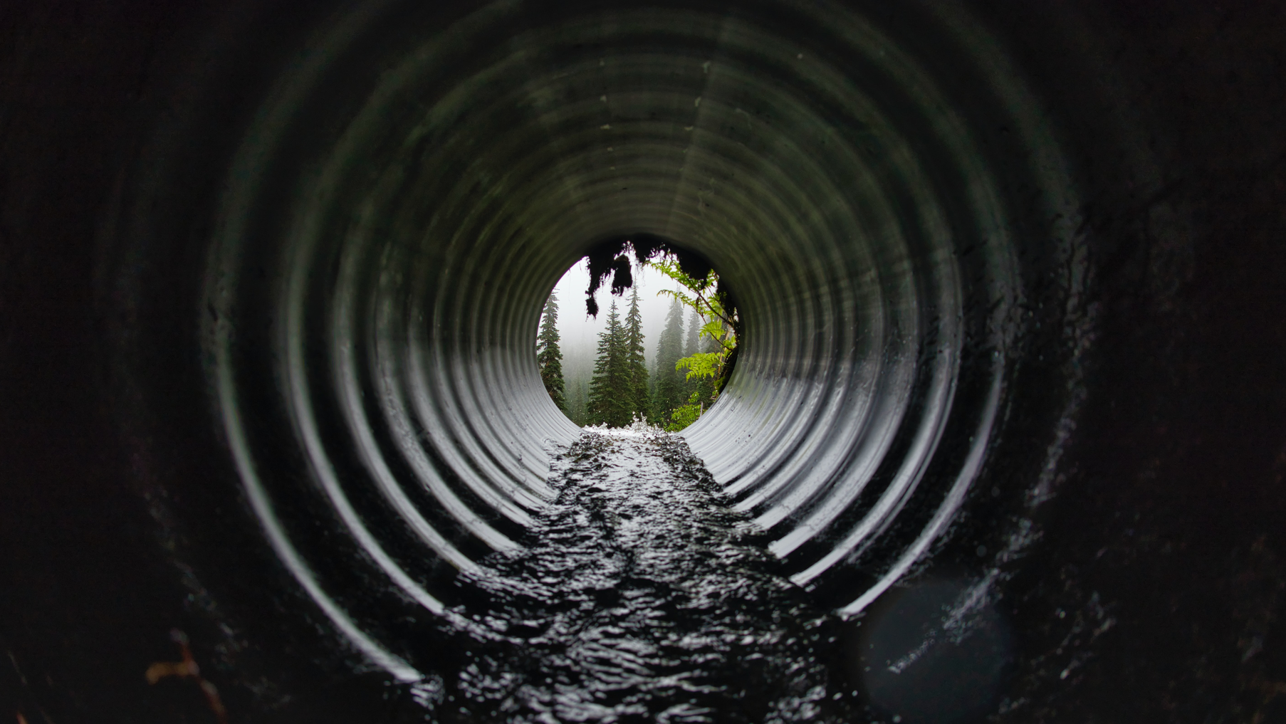 Marco Bicca 1 Xwr9o I9 Afa Unsplash 2 612faafc445bb