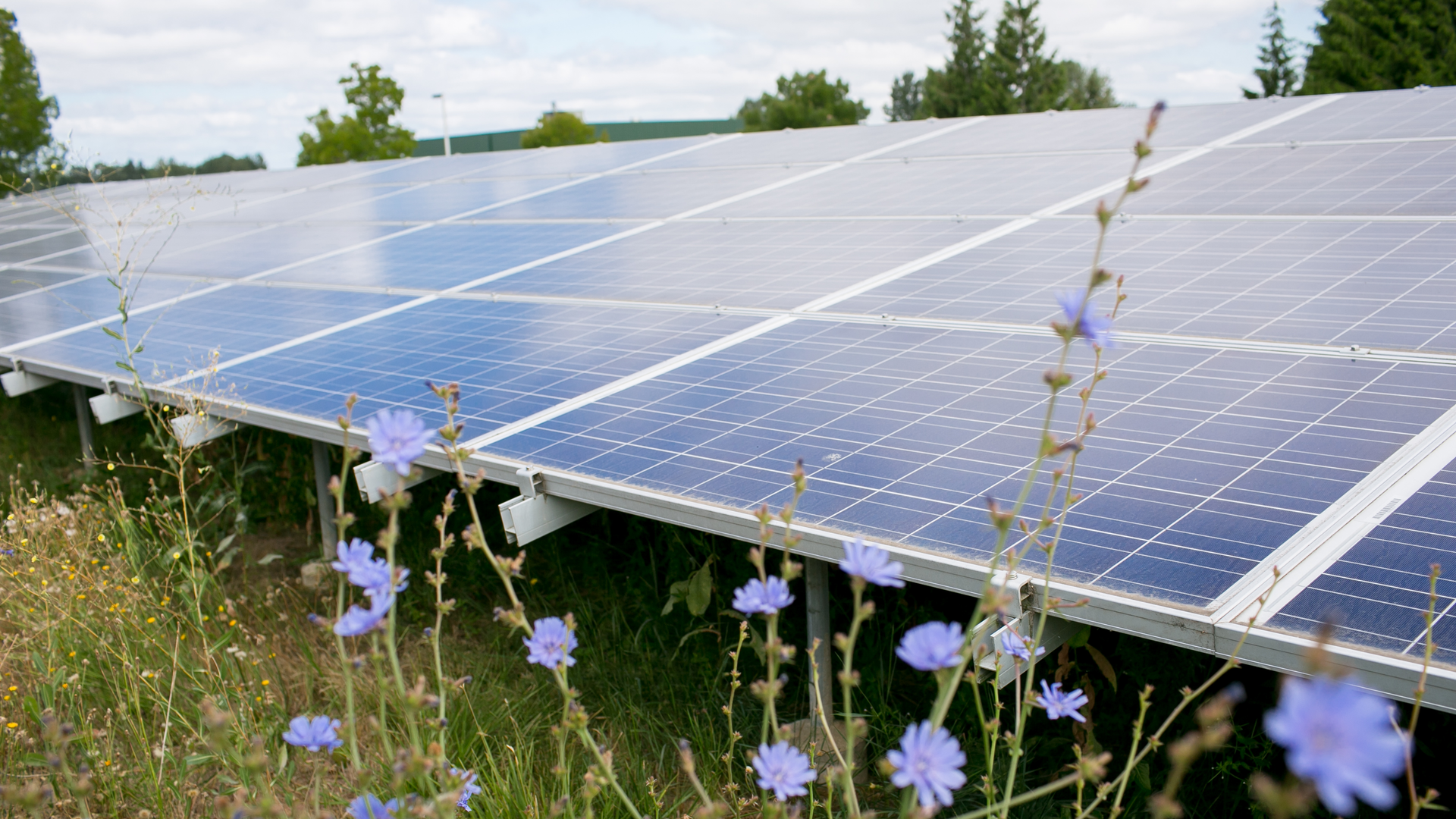 The City of Gresham&rsquo;s Wastewater Facility is the first in the Pacific Northwest to generate the same amount of electricity as it consumes in a year.