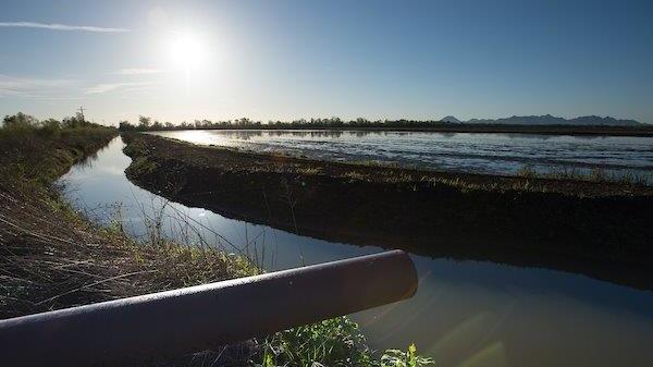 Groundwater irrigation for a rice field in the agriculture region of Yuba County east of Marysville, Calif.