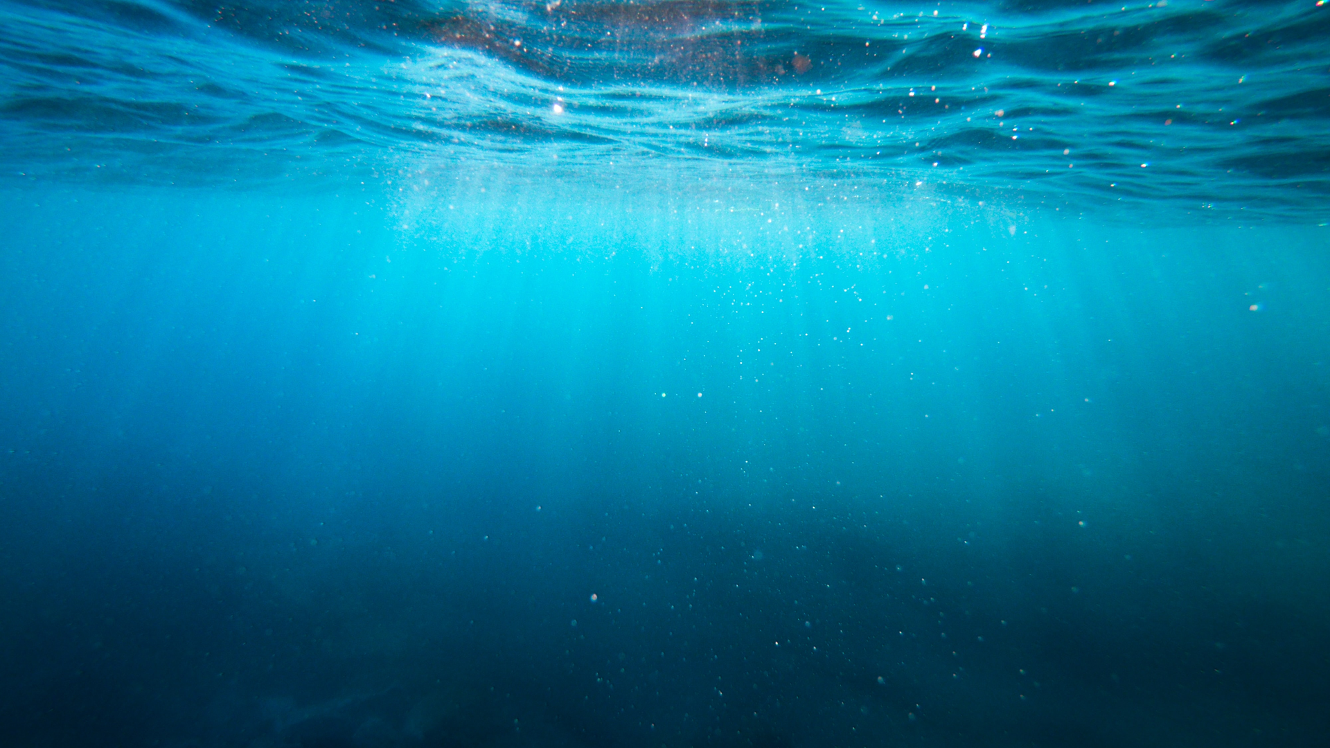 Cristian Palmer Xexawgz Yo Bc Unsplash 619e59bcb3f77