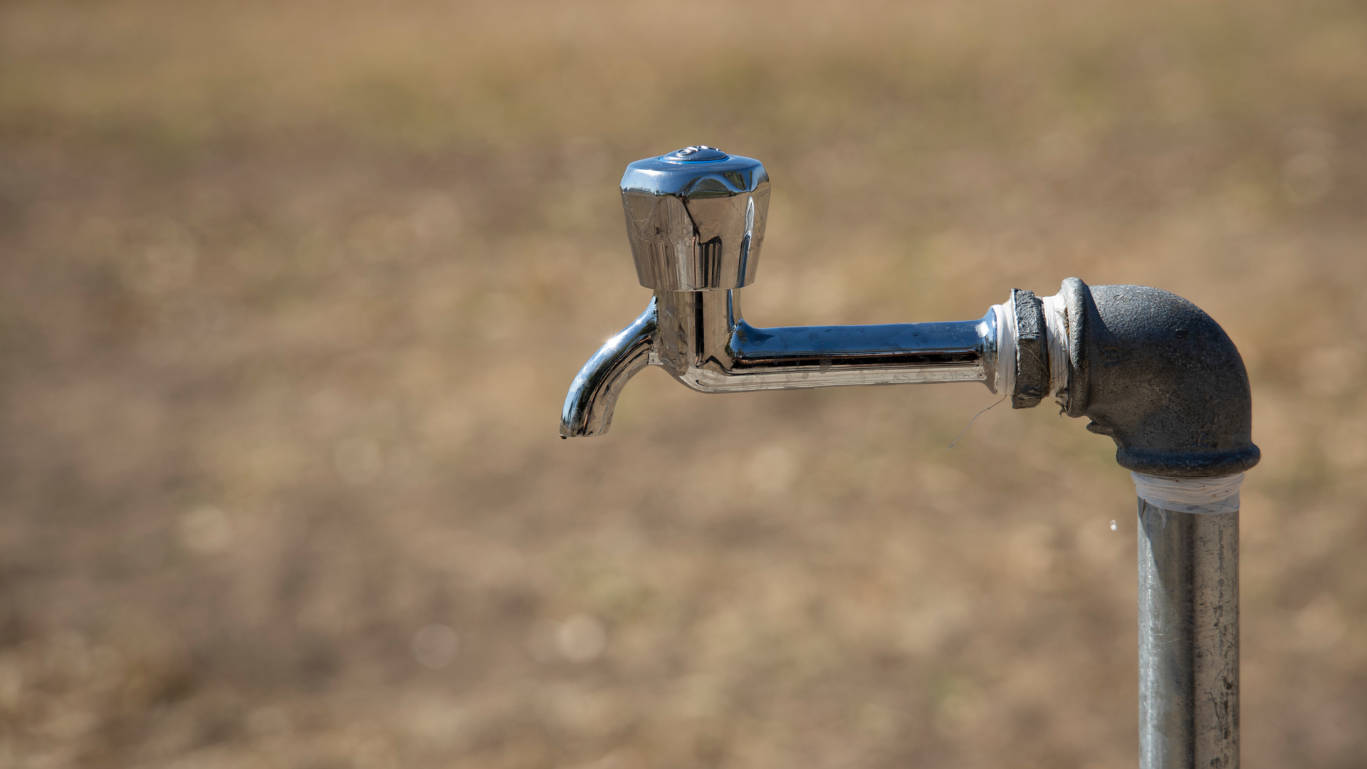 Engin Akyurt 6v1gc Euxfgc Unsplash 619e7d0496573