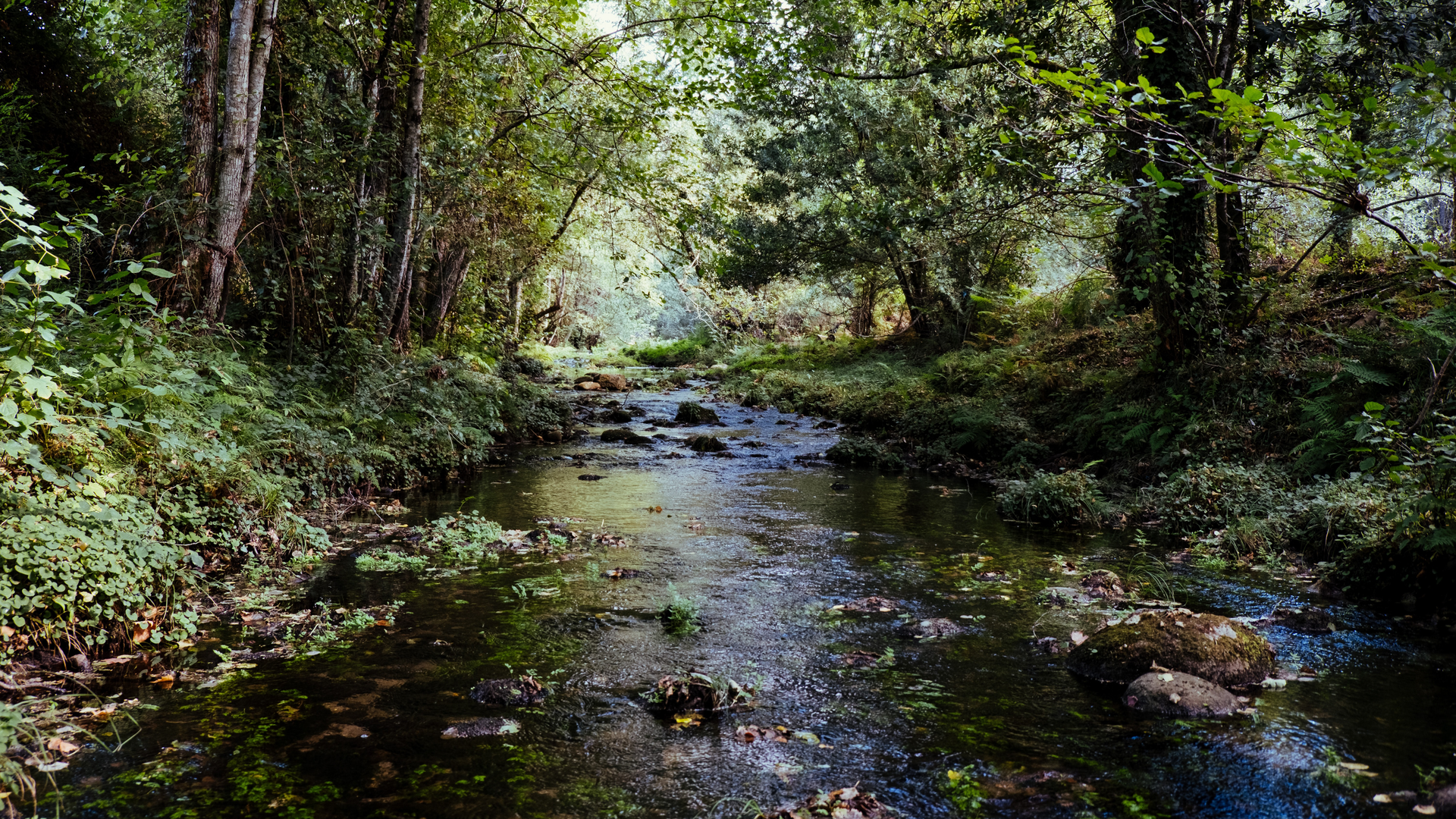 Karim Sakhibgareev Fsc2v3jfxvk Unsplash 6197bac7c0ece