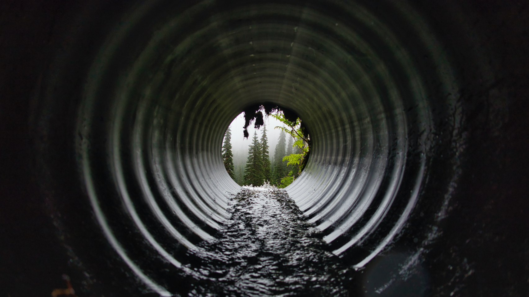 Marco Bicca 1 Xwr9o I9 Afa Unsplash 3 6183d65c7af7f