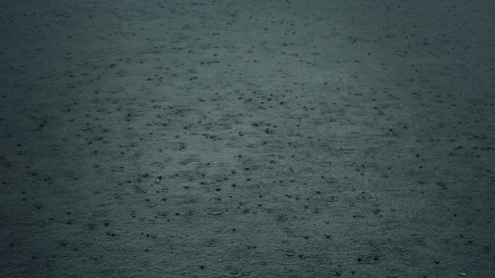 Tim Foster Et4q6 N3 J Am8 Unsplash 619beef3b5df6