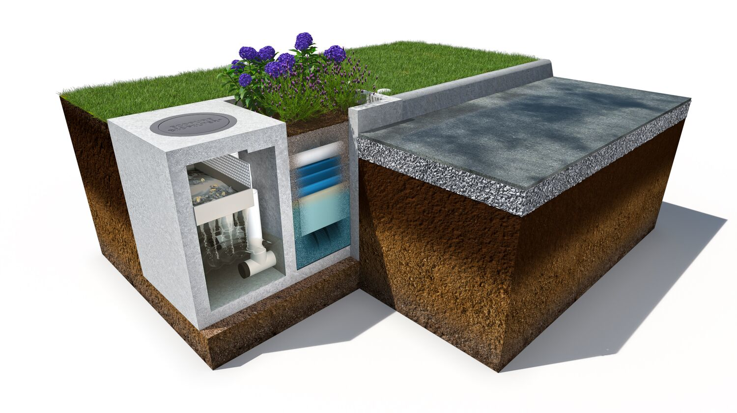 2112 W Wprd P04 619be562b4de1