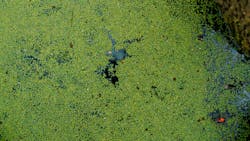 Jordan Whitfield Vph R T4 Bwgw Unsplash 61bc9c732f322 Jordan Whitfield Vph R T4 Bwgw Unsplash 61bc9c732f322