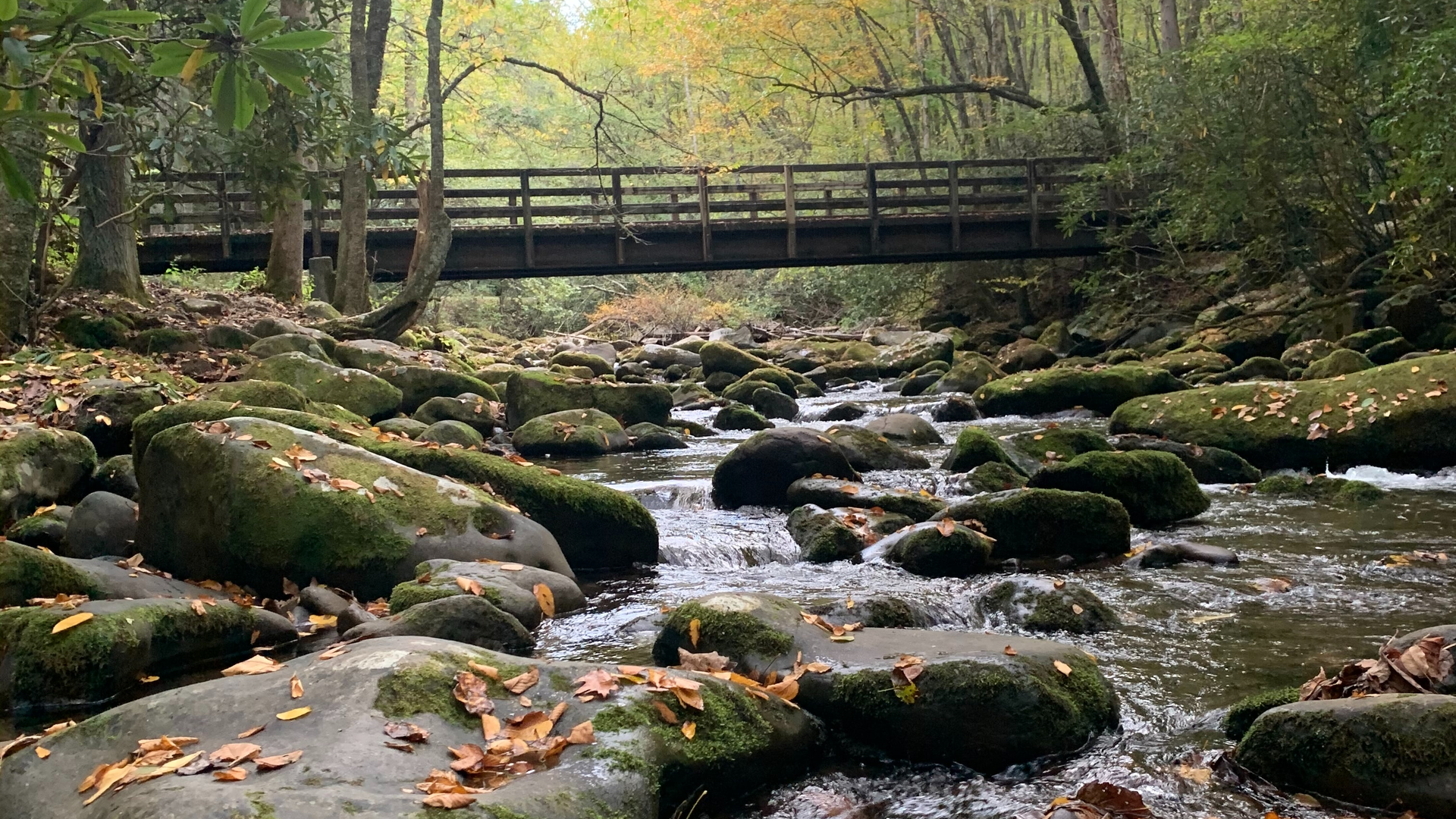 Loren Isaac A9 L1e Syt25 I Unsplash 61b763c28c4b7