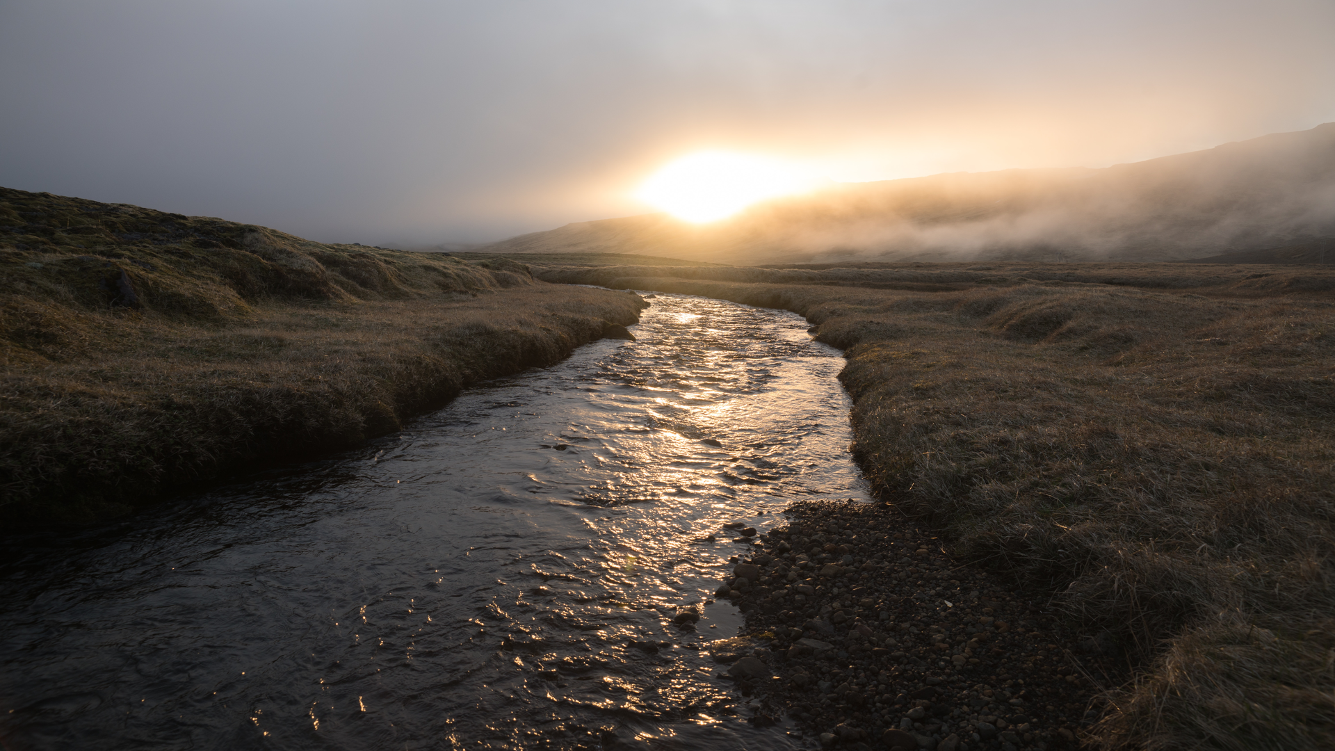 Pexels Arthouse Studio 4344537 61b8df51944d5