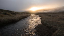 Pexels Arthouse Studio 4344537 61b8df51944d5 Pexels Arthouse Studio 4344537 61b8df51944d5