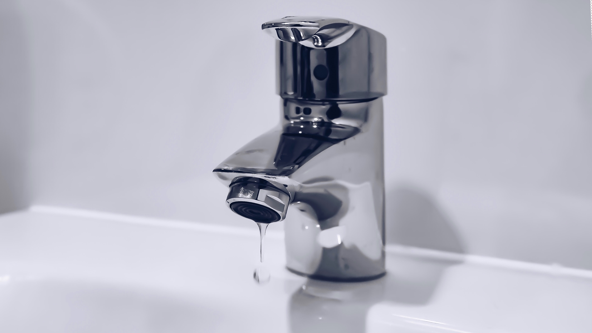 Sasikan Ulevik 8j Qc5 Rh Wu Se Unsplash 1 61b39c5b946f7