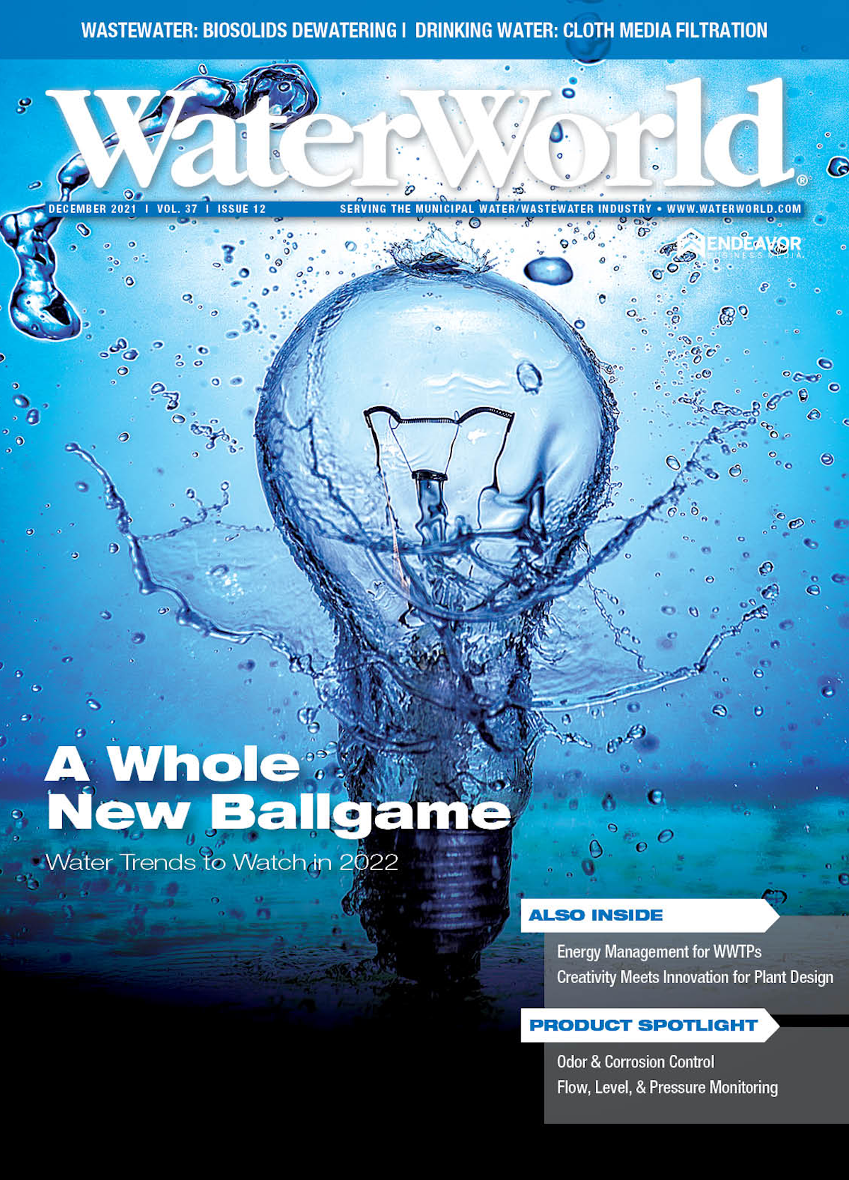 Volume 37, Issue 12, December 2021 cover image