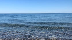 Julia Spina An Ntj8vxw2k Unsplash 61f2c2d2e5f62 Julia Spina An Ntj8vxw2k Unsplash 61f2c2d2e5f62