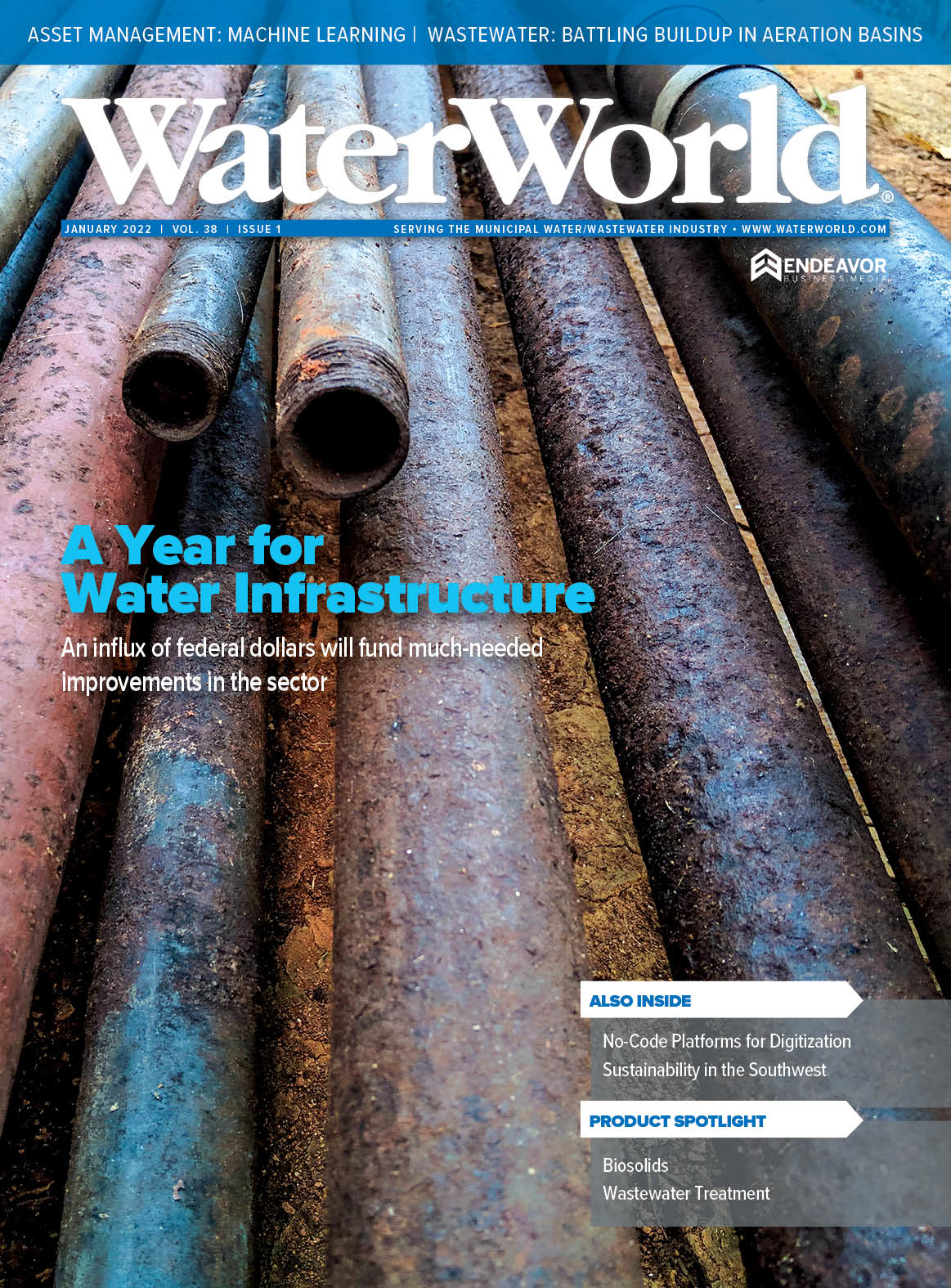 Volume 38, Issue 1, January 2022 cover image