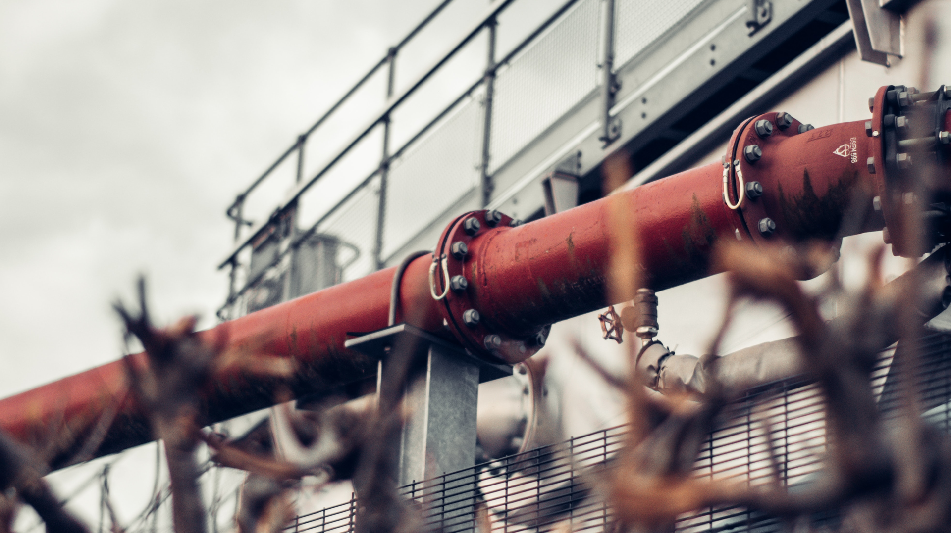 Harry Shelton Zmg Ciofl5 K Unsplash 6203fb3c8aa7f