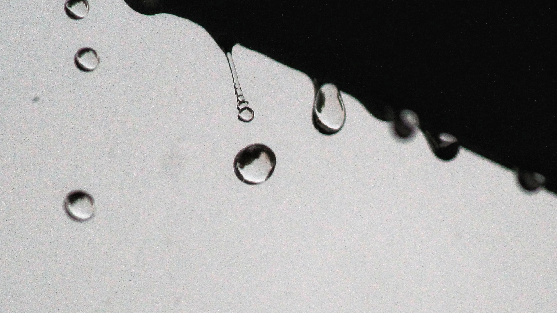 Holly Obermiller Vo5t Lr Yah0 Unsplash 6217e71f6e081