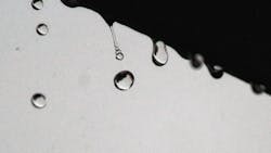 Holly Obermiller Vo5t Lr Yah0 Unsplash 6217e71f6e081 Holly Obermiller Vo5t Lr Yah0 Unsplash 6217e71f6e081