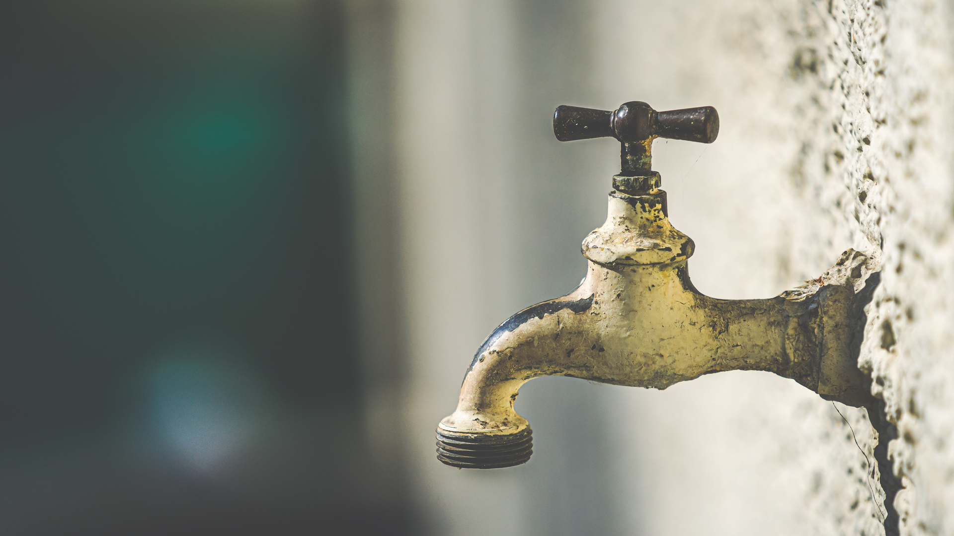 Patrick Pahlke Dkct4 P Lm5 J0 Unsplash 61fa9400808ab