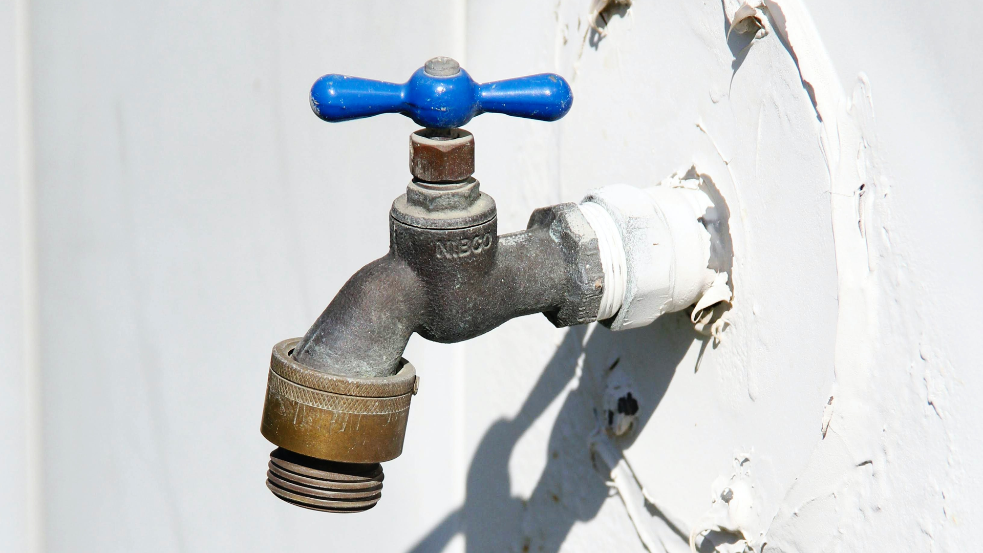 Savannah Rohleder P Yy U Sb863 Pa Unsplash 61f960d666f40