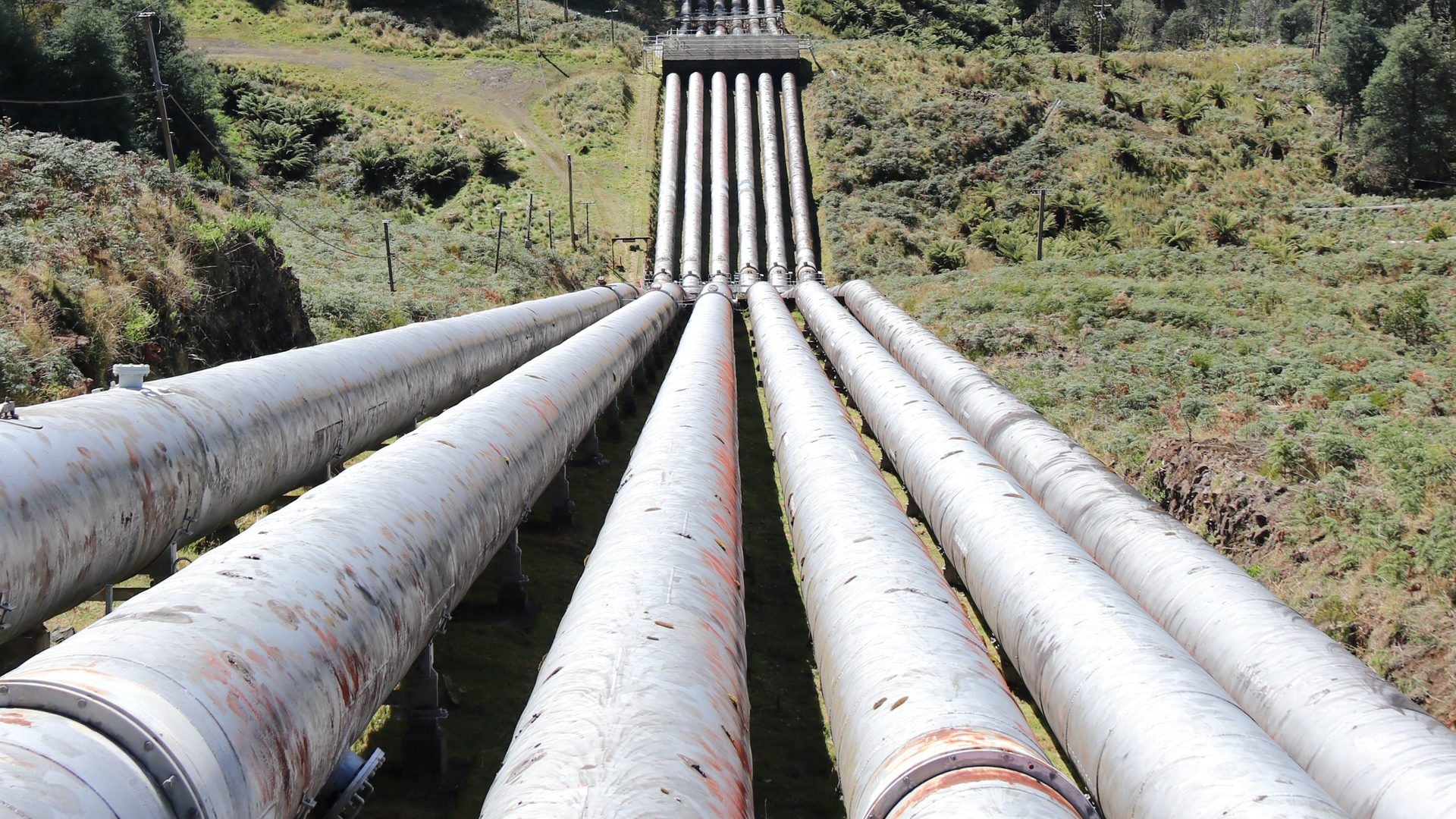 Christian Bass 1r Zg5s Ct Crg Unsplash 621e60914bfbd