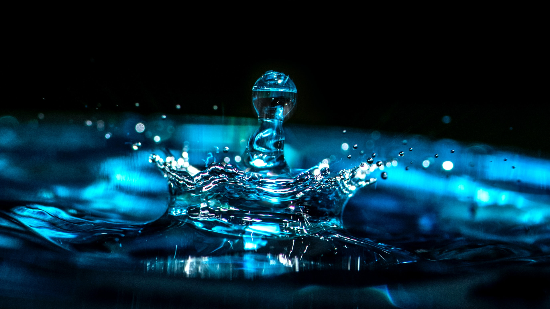 Erda Estremera E Mx1a I Ap9 Nw Unsplash 6227a450e7543