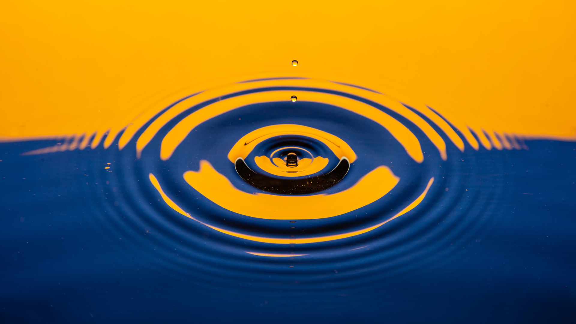 Izzy Gibson Xq F Cy9 Ab Hp4 Unsplash 623b18ec1b0d0