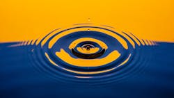 Izzy Gibson Xq F Cy9 Ab Hp4 Unsplash 623b18ec1b0d0 Izzy Gibson Xq F Cy9 Ab Hp4 Unsplash 623b18ec1b0d0