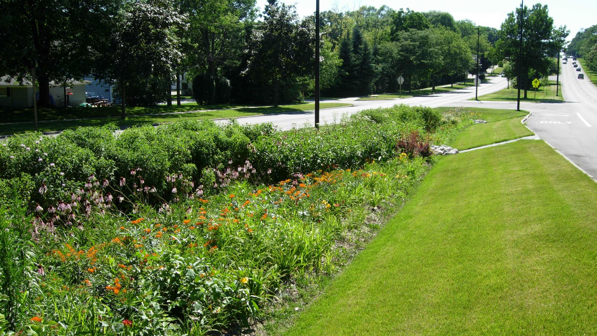 7994695423 8c843605a9 O