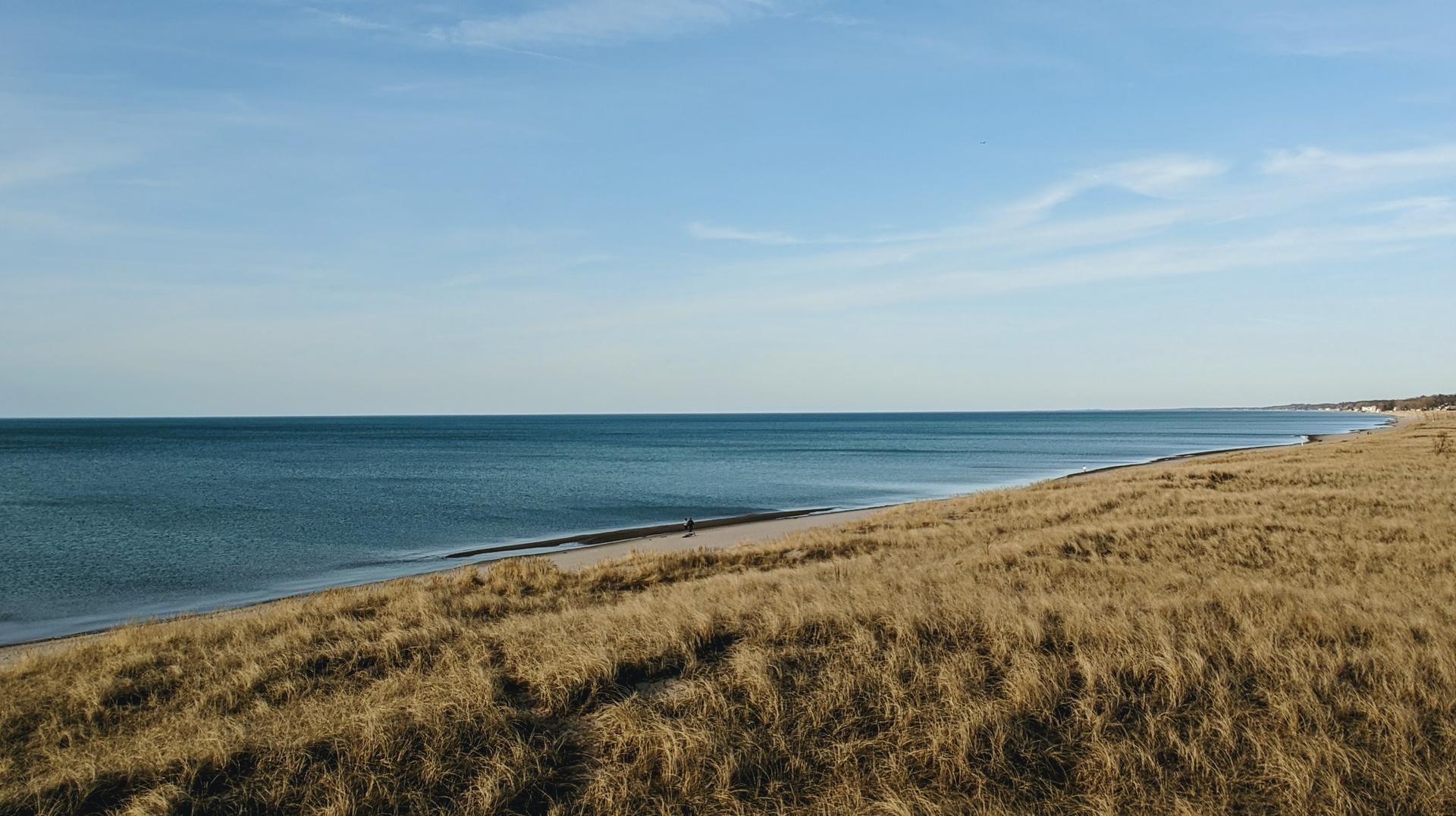 The Lake Michigan shoreline near Indiana Dunes National Park.