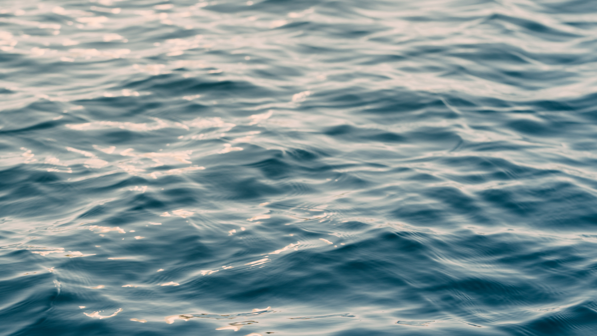 Andy Feliciotti Tnu Bg Kx I1c0 Unsplash 625ec7872ac9d