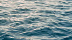 Andy Feliciotti Tnu Bg Kx I1c0 Unsplash