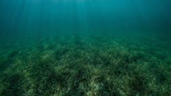 Benjamin L Jones V77 Svymw Wtg Unsplash 626abb9ee19c9 Benjamin L Jones V77 Svymw Wtg Unsplash 626abb9ee19c9