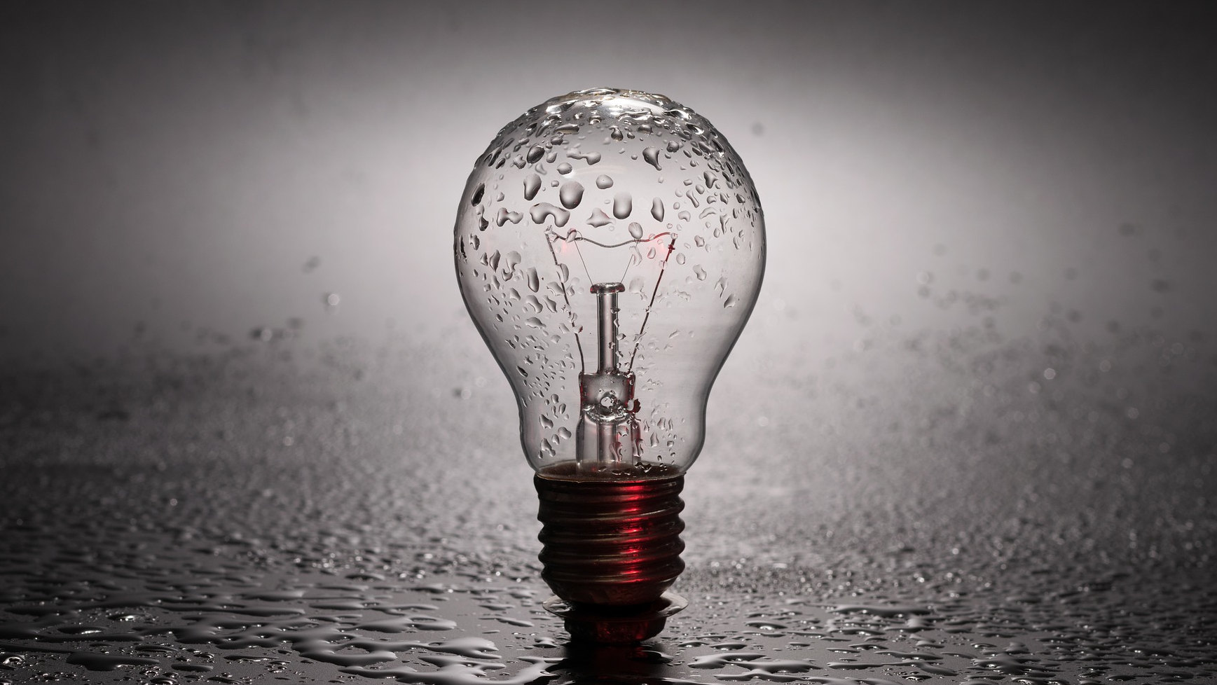 Bulb 2287759 1920 624c579c66e2b