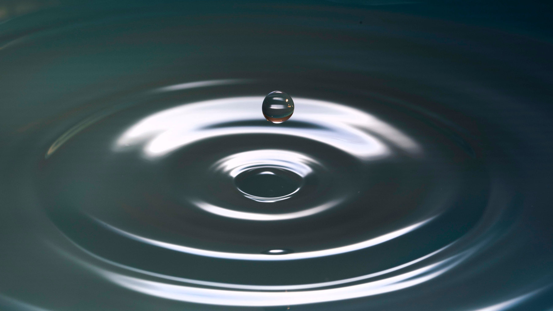 Levi Xu D Oh Jtf Xj Zfw Unsplash 625d63ae66a5f